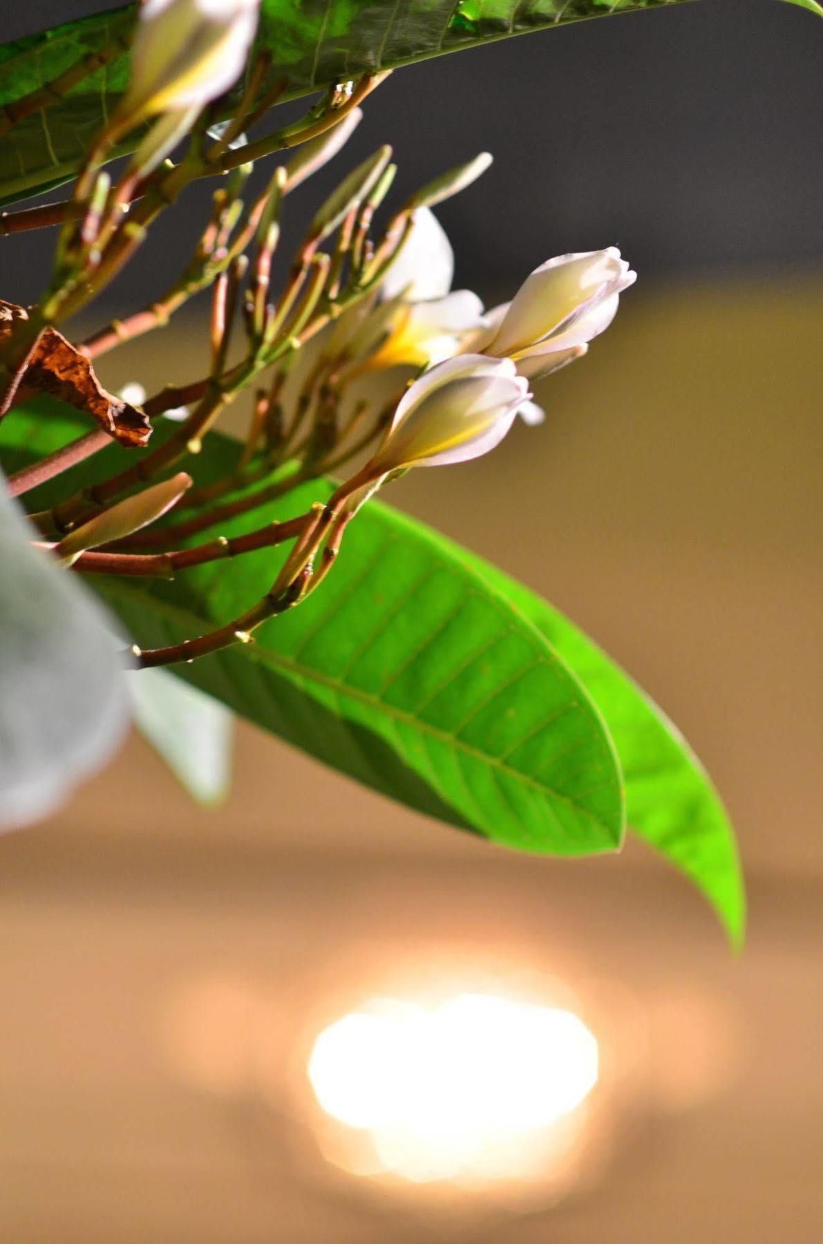 Go Samui Hotel Bãi biển Chaweng Ngoại thất bức ảnh